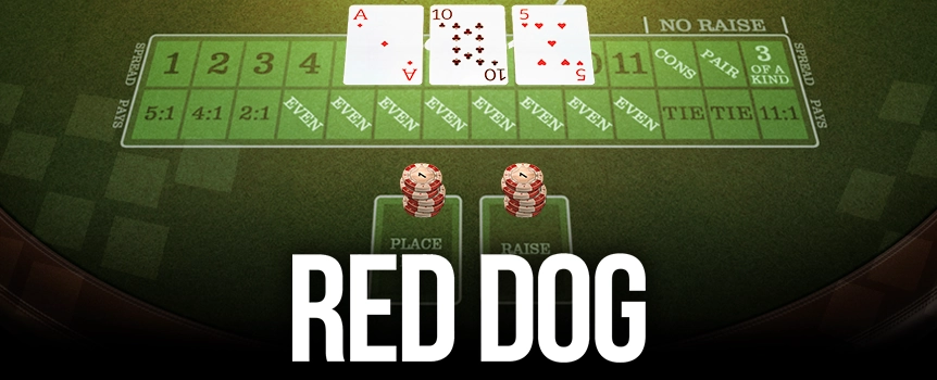 Huge 11:1 Cash Prizes are on offer when you sit down at the Red Dog Table to play this fast-paced Card Game!