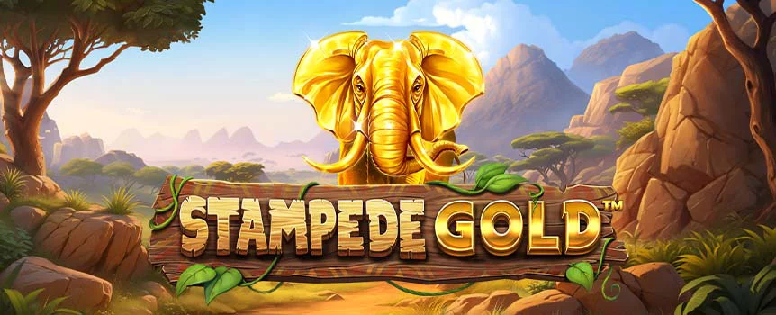 Join a herd of elephants and explore the Savanna in Stampede Gold. Play for real money at Slots.lv and experience 1,024 ways to win 27x Multipliers