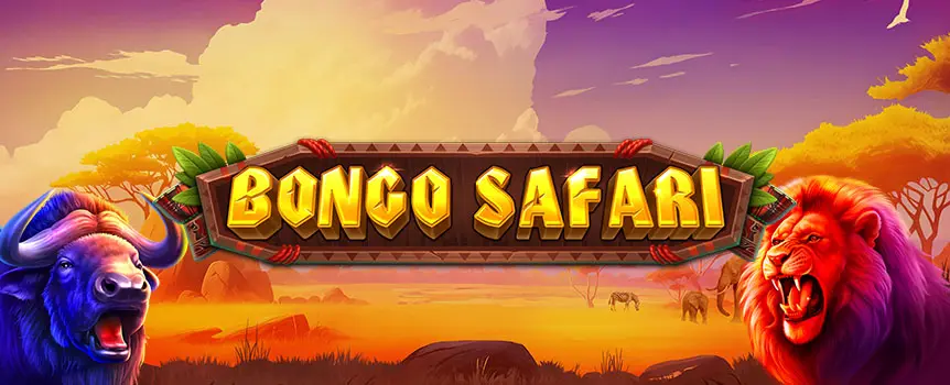 Join the adventure in Bongo Safari on Slots.lv! Spin for Persistent Prizes, Free Spins, and thrilling Collect features on every turn