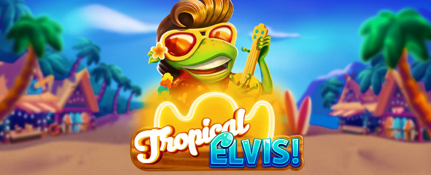 There have been some seriously strange slots in the past, but Tropical Elvis! takes strangeness to an entirely new level! Not only is this game about lizard called Elvis, who apes the style of the rock and roll king, but he’s based on Hawaii, which comes complete with palm trees and tropical cocktails.